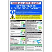 Electric Shock Poster